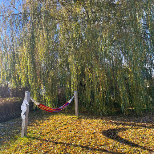 Impressionen Koje 22 16