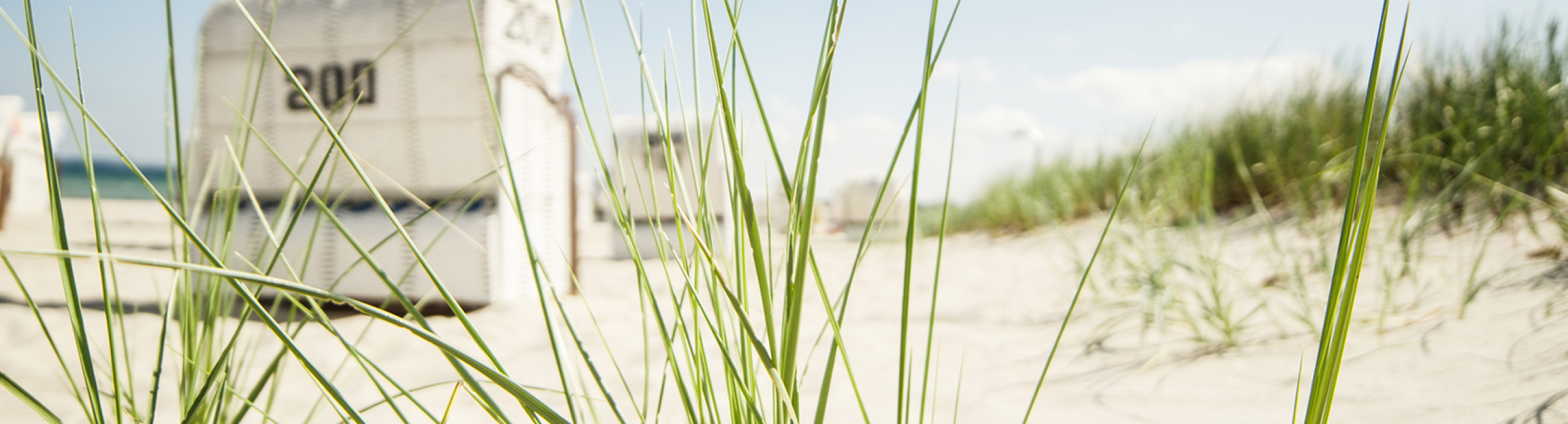 Titelbild Datenschutz